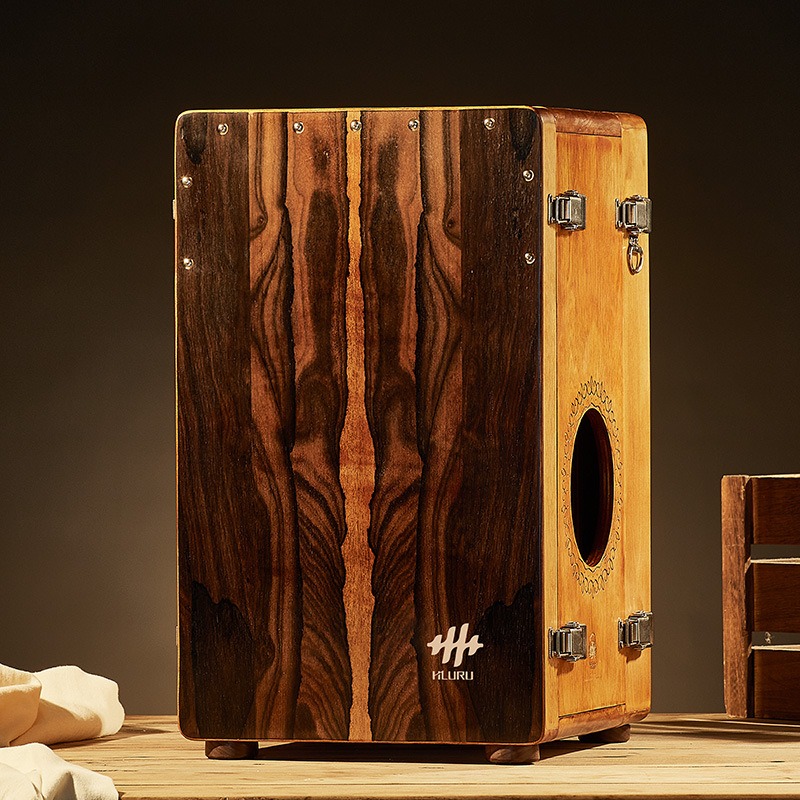 Holzkiste Trommel Professionel – Diy Electronics Projects For Adults Bewertung und Preis