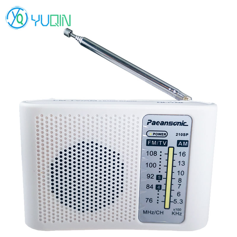 210SP AM/FM Radio-Bausatz DIY  – Diy Electronics Projects For Adults Bewertung und Preis